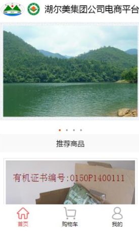 湖尔美特价有机菜